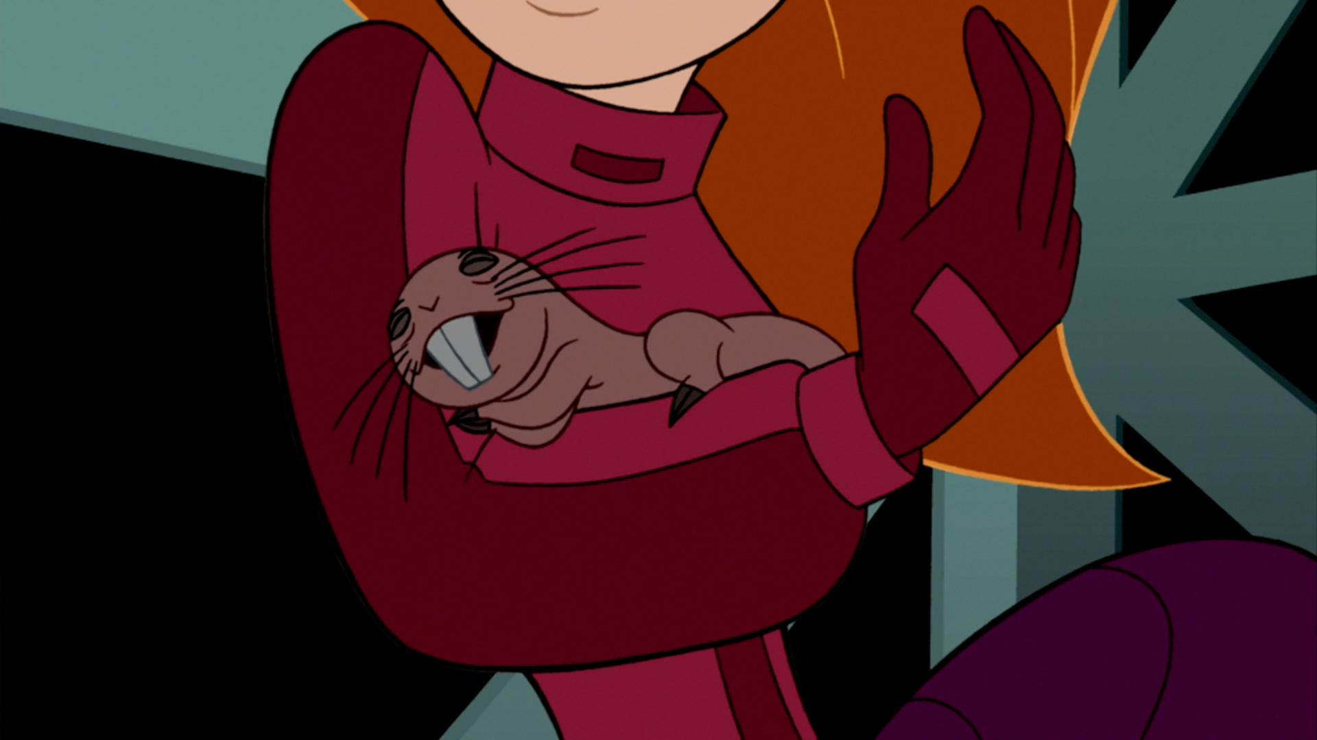 rufus from kim possible