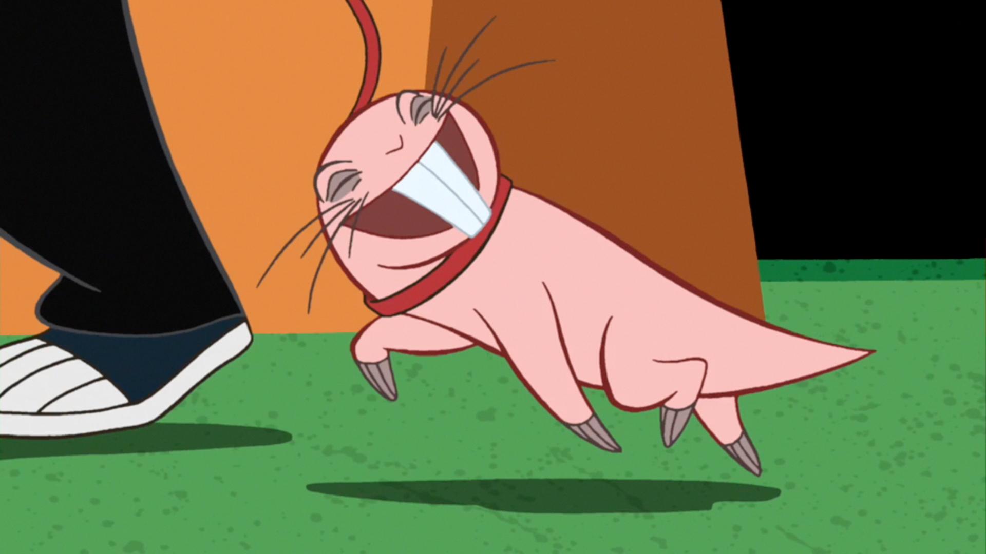 Rufus in Show Screen Captures .:::. Kim Possible Fan World